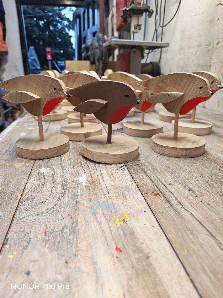 Beautiful Robin's ❤️