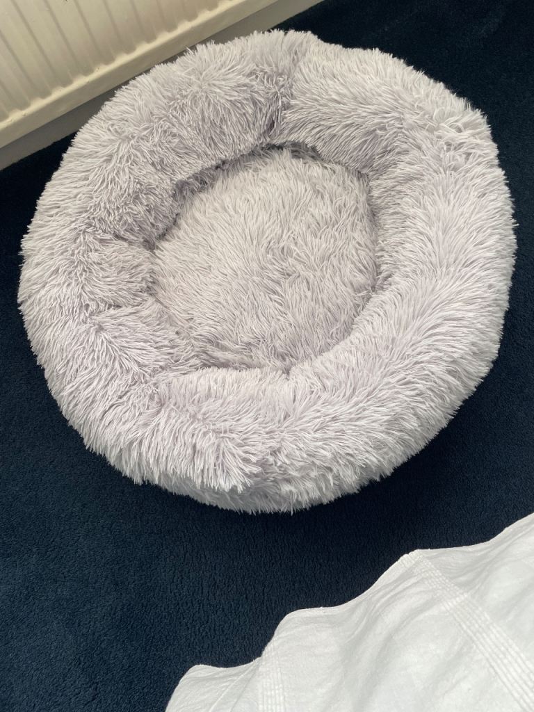 Fluffy cat bed