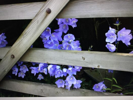 Number plate B J 1 5UES  make a offer