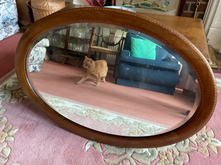 Oval polished wood mirror