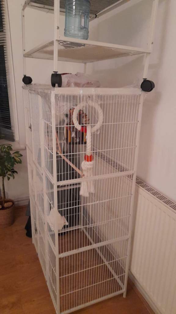 Bird cage