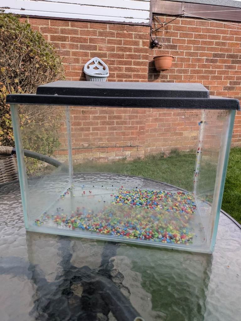 Free small fish tank 