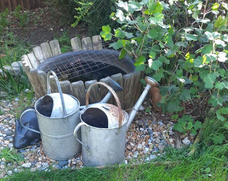 Vintage Metal Watering Cans – Fair Condition