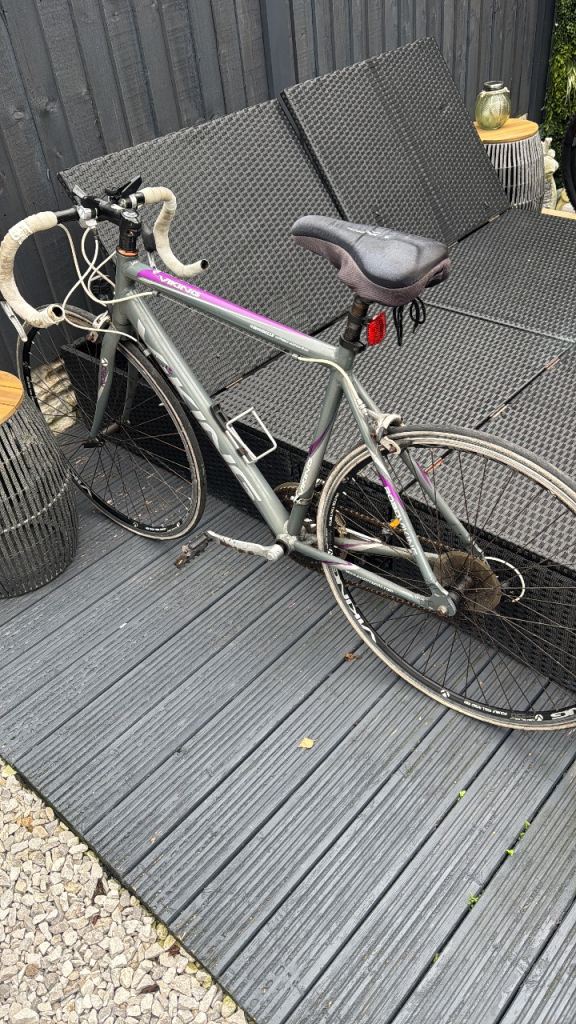 image for Viking racer 