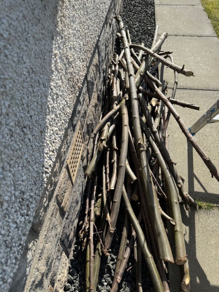 Free mini logs, and long sticks to cut up