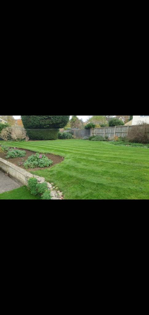 W.D. Gardening Services 