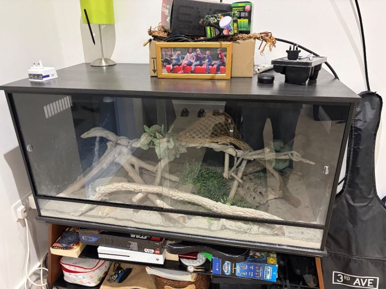 Vivarium for Lizards and other reptiles