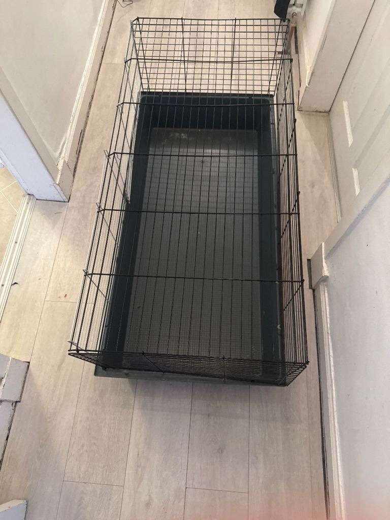 Free Guinea pig cage