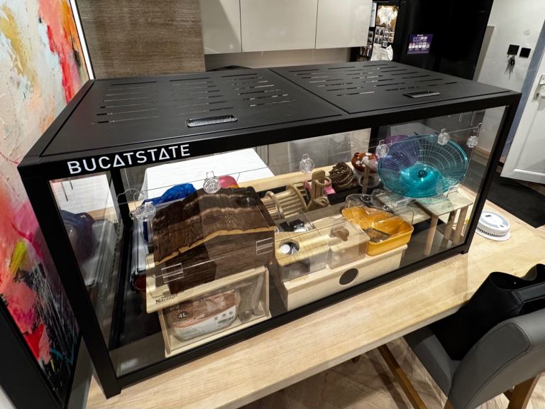 Bucastate cage and accessories 