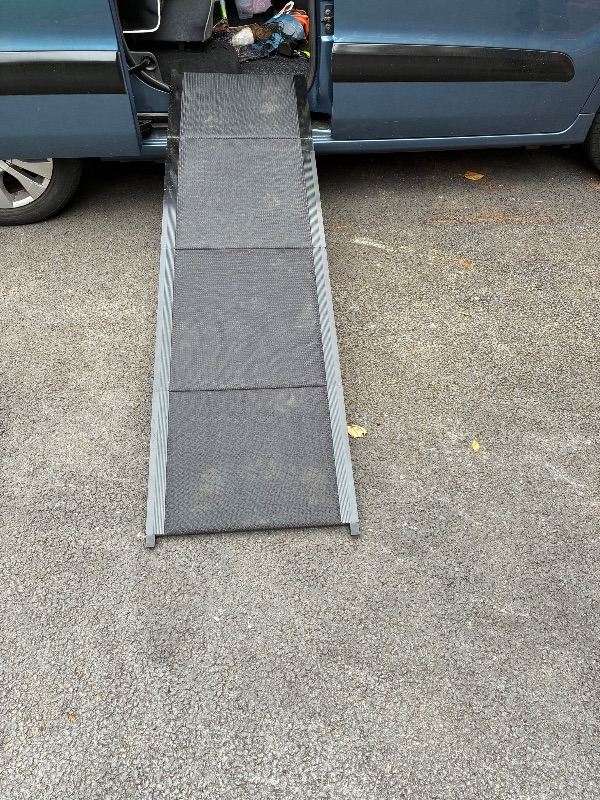 Dog ramp 