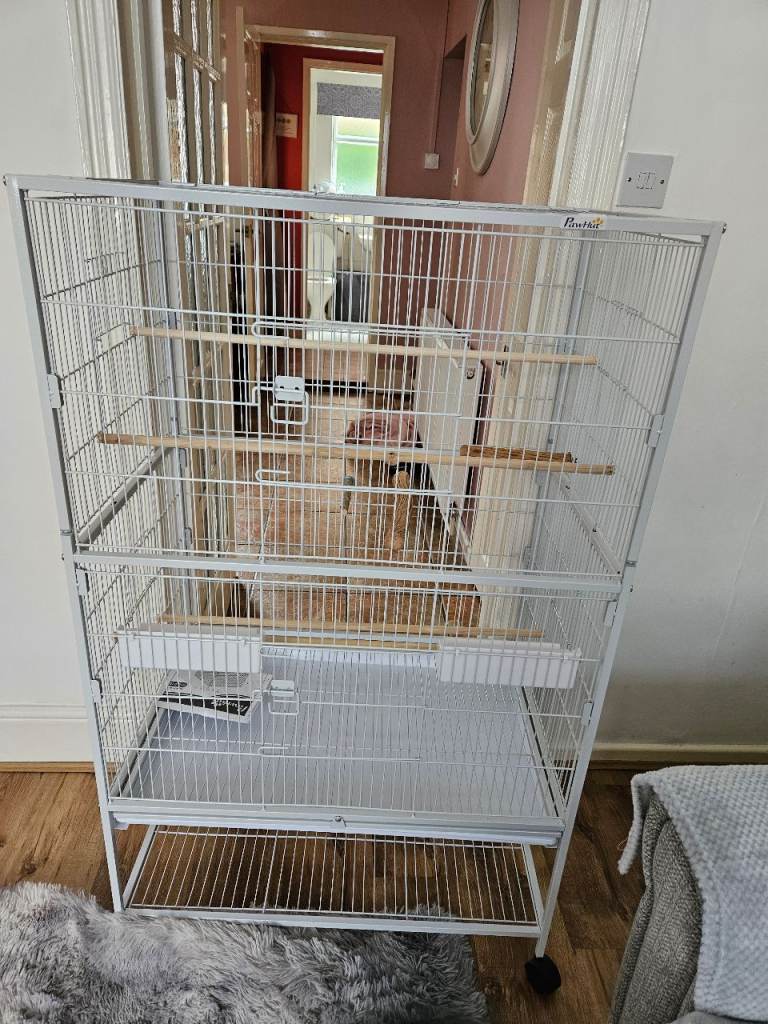 Bird cage 