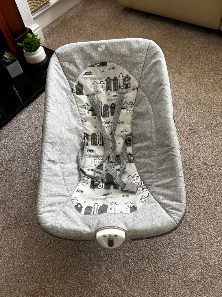 Baby’s Bouncer