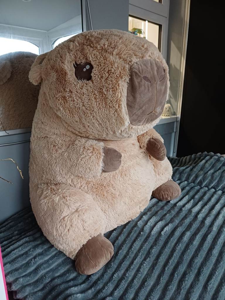 XL Capybara teddy plush