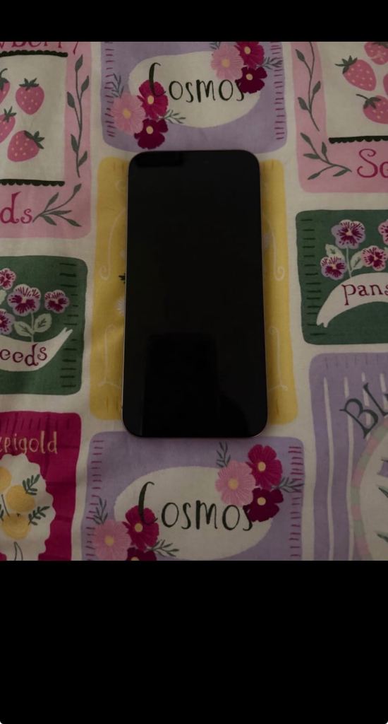 iPhone 15 Pro Max-natural titanium