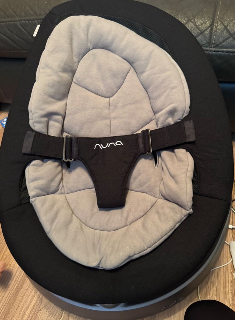 Nuna swing chair 