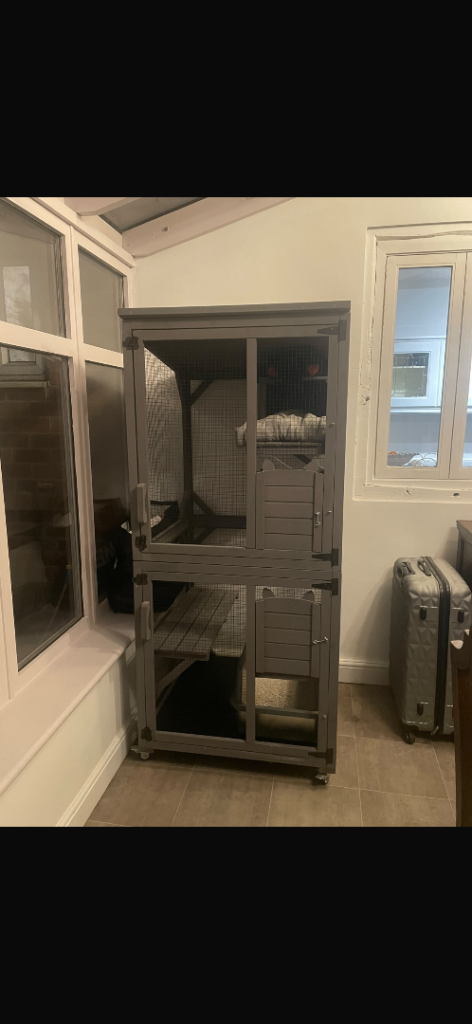 Large catio 