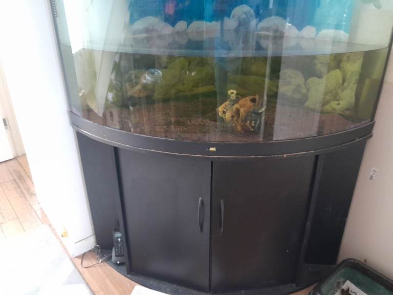 Tank and stand