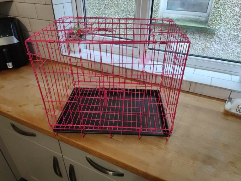 Small animal cage 