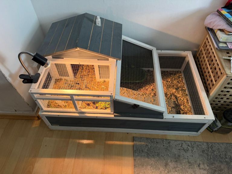 Two-tier Tortoise Table