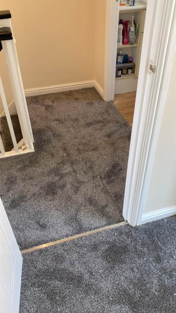 Carpet & Flooring - Supply & Fit