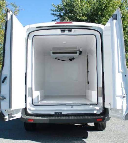 Frozen food and goods courier service 