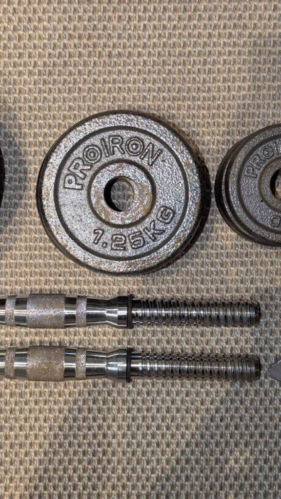 Dumbbell handles with weight plates 