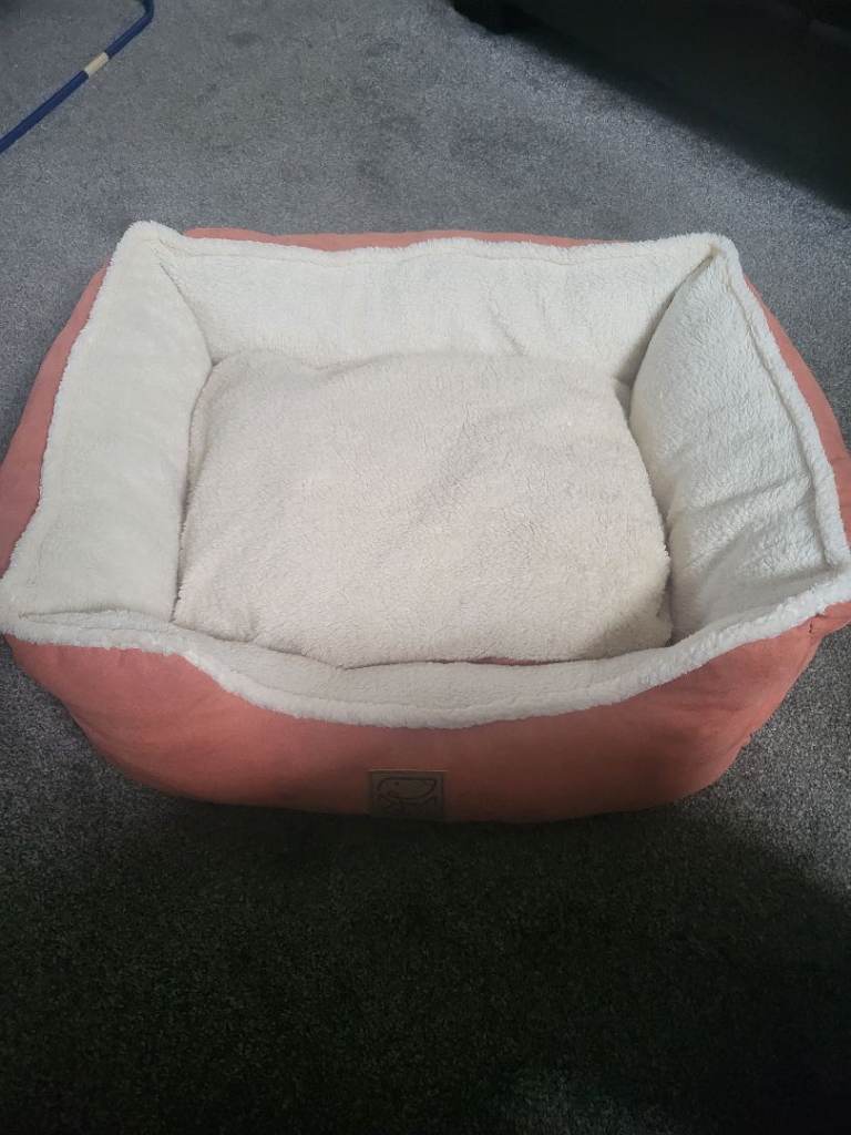 Cat/Small dog bed 