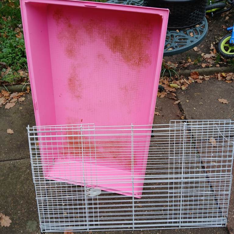 Free indoor guinea pig cage