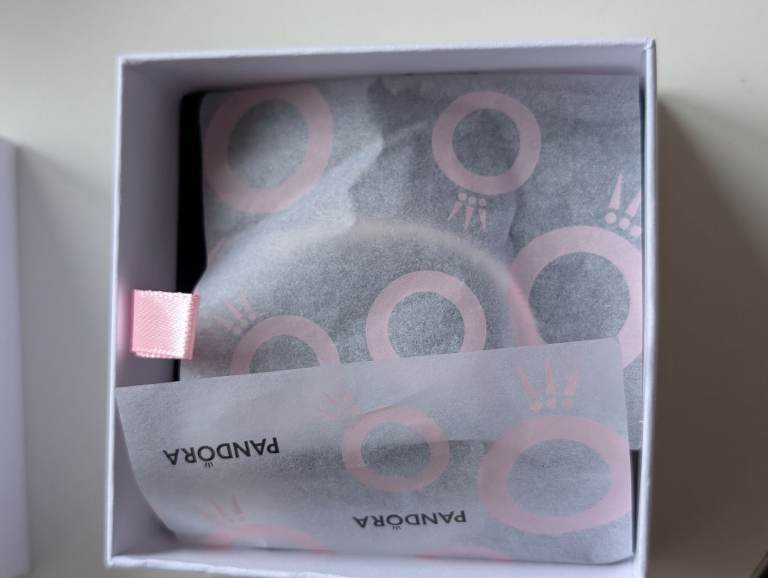 Brand New Pandora Bracelet & 2 Charms 