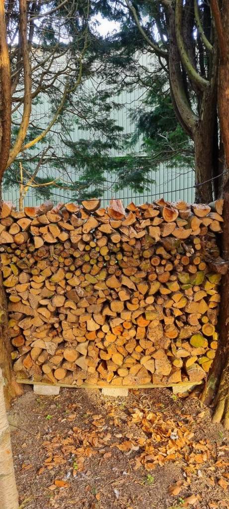 Seasoned Firewood