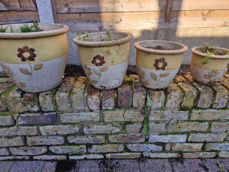 Plant pots