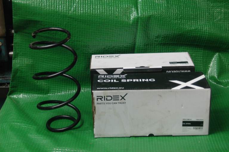 Renault Clio MK3  Front coil springs
