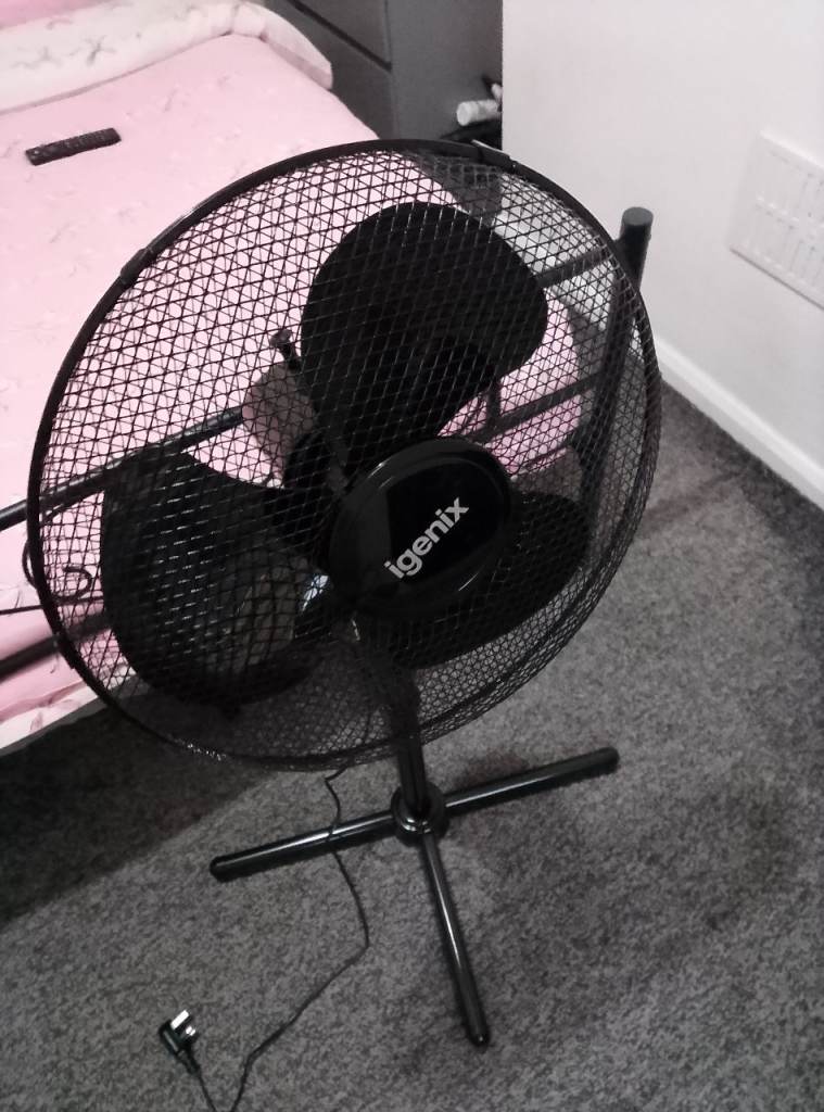 Fan 