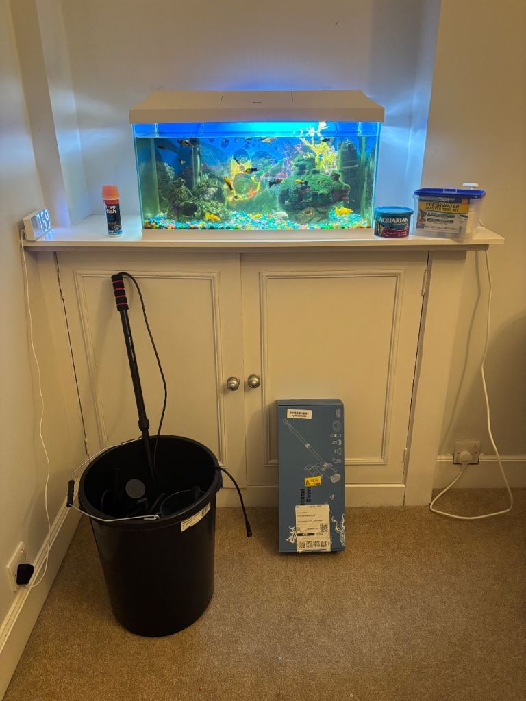 Tropical fish and aquarium tank