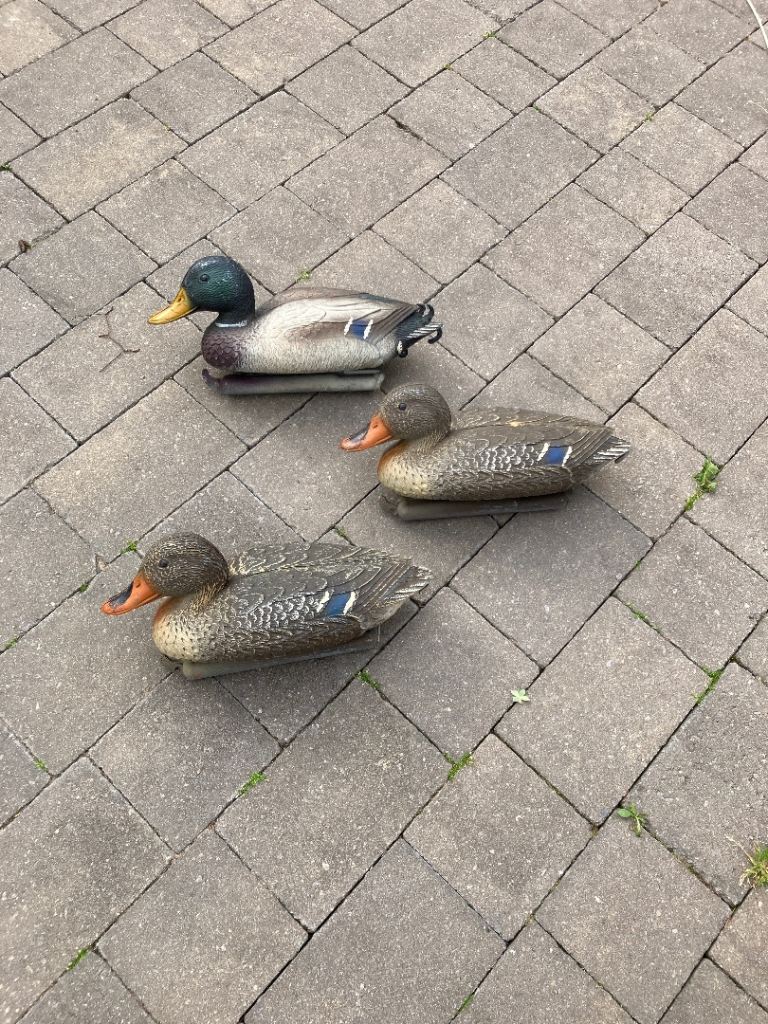 Duck decoys