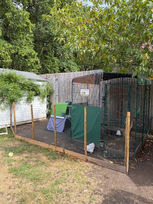 Omlet complete set up