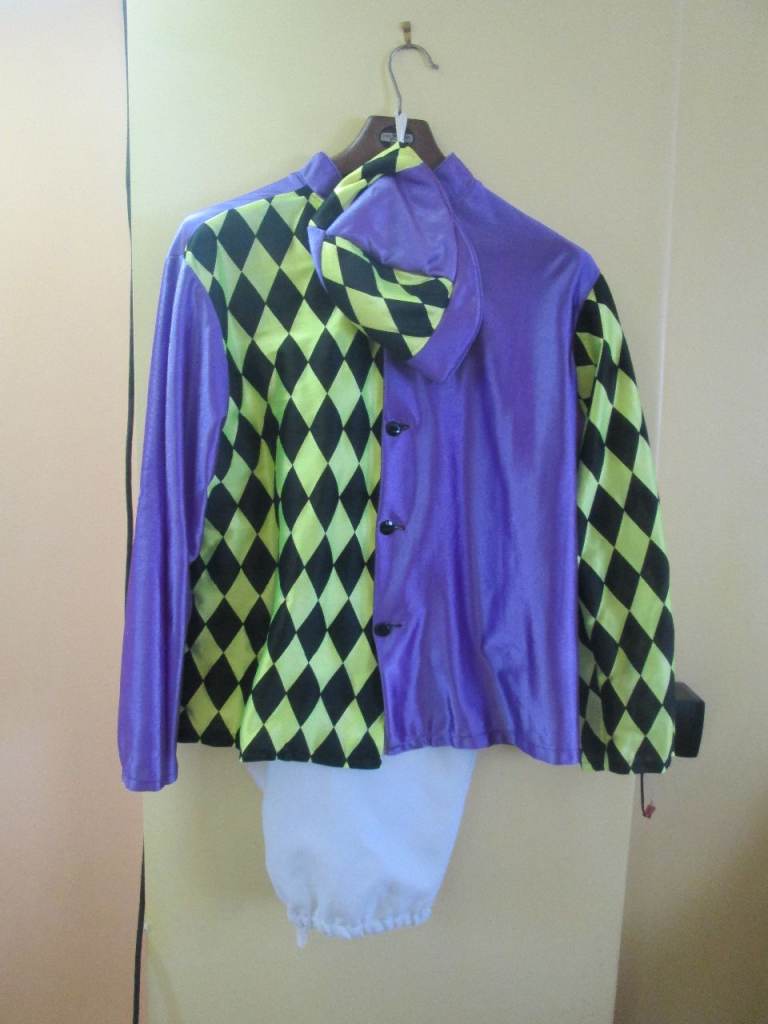 Jockey Outfit Fancy Dress Costume. Race Night Tote, Theatrical, Stage, Office Home Party