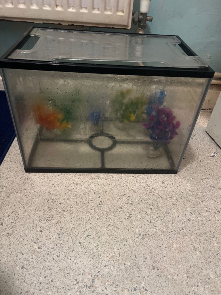 20L fish tank 