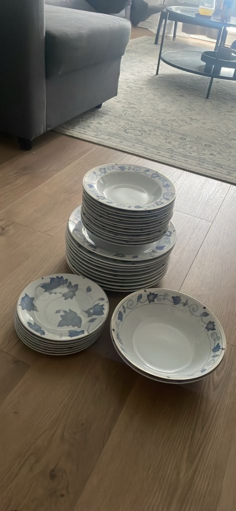 Dinner plate set