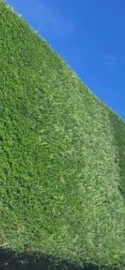 Gardening and Garden Maintenance Services