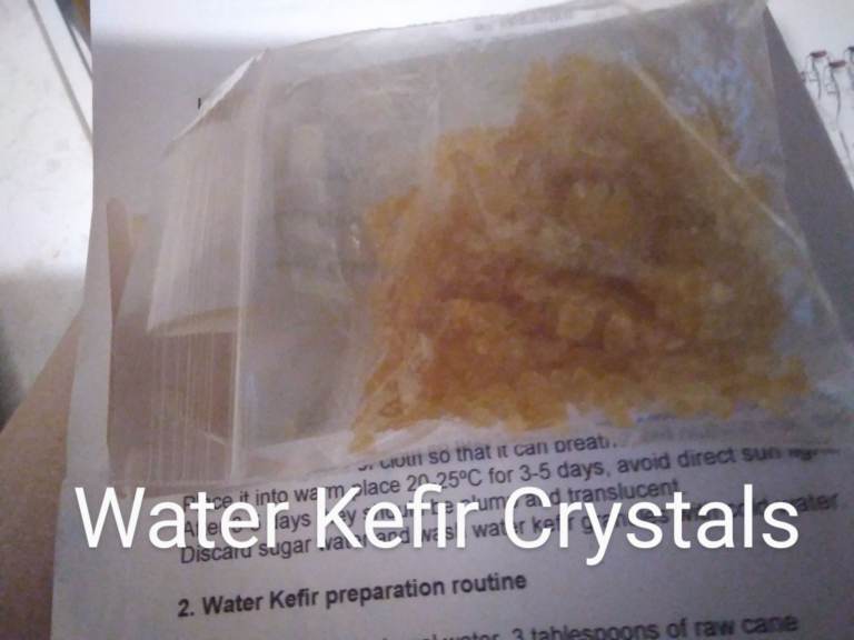 Make Kefir Probiotic Health Drinks With Water Kefir Crystals 