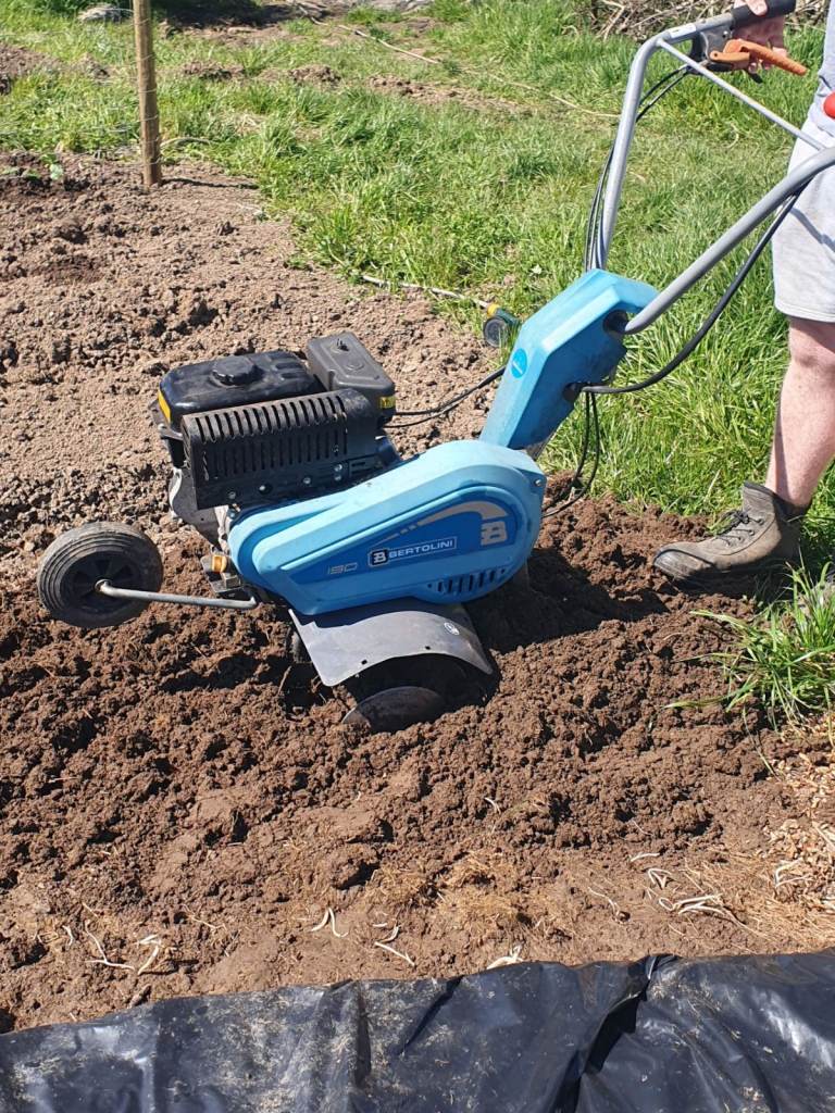 Bertolini 190 rotovator,5hp 4 stroke petrol engine