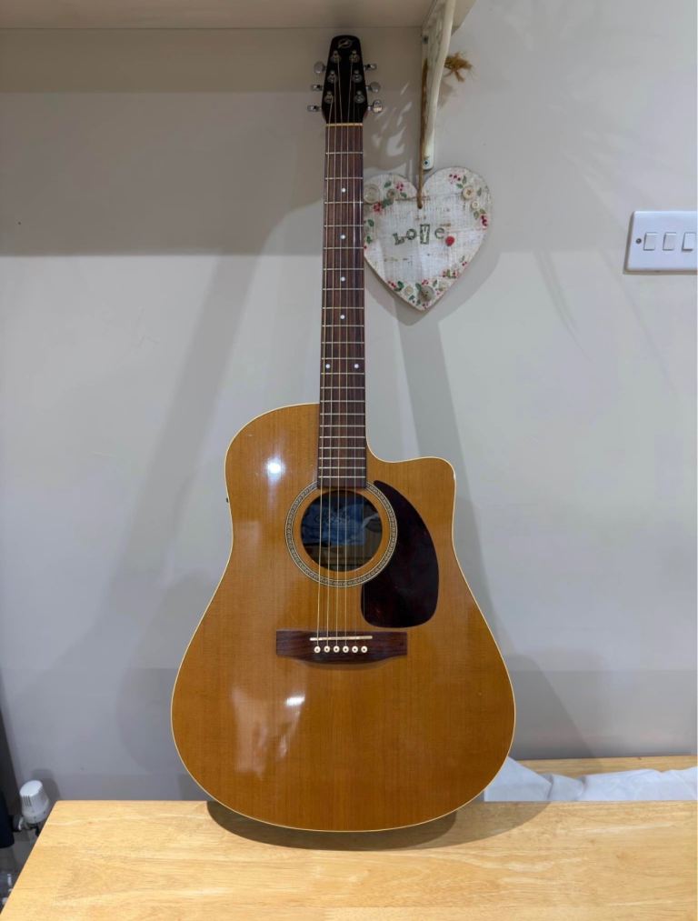 Goldin Seagull Canadian Acoustic Guitar – Great Condition