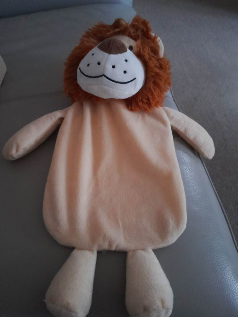 Novelty Hot water bottle