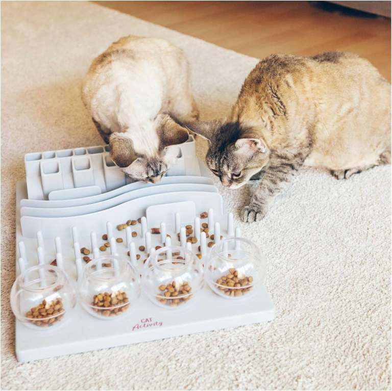 Cat's Play Treat Puzzle Slow Feeder,