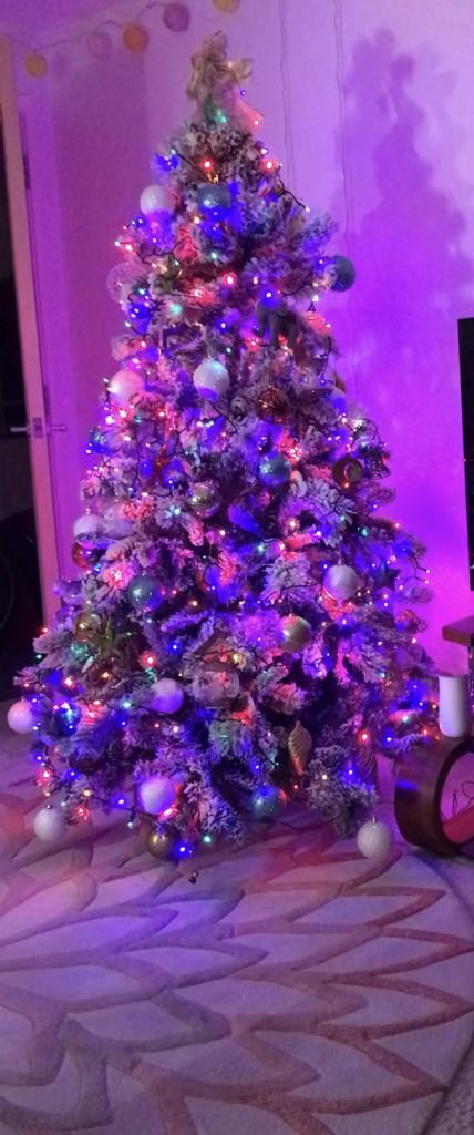 Offer for quick sale-LUXURY 6ft Artificial Snow and Pine Cones Christmas Tree RRP:£350