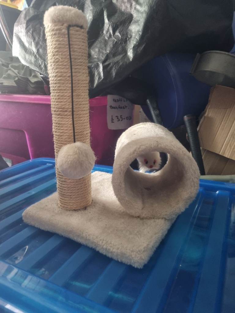 cat scratching post