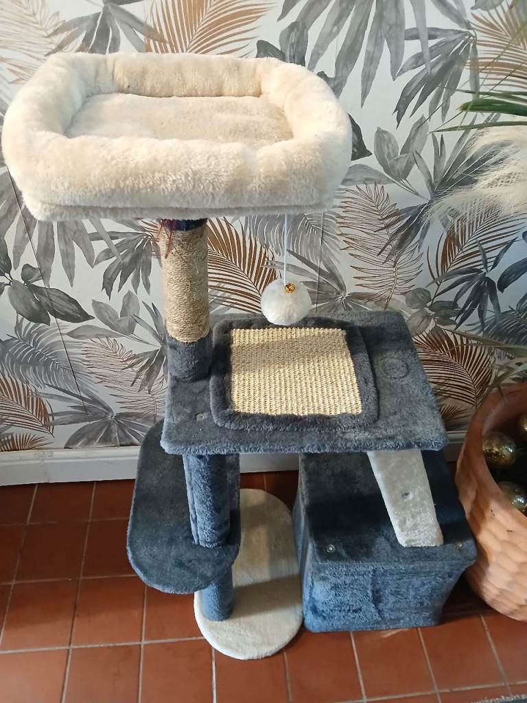 Cat Climber 