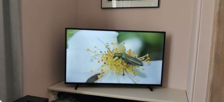 Panasonic 40" LED Smart TV