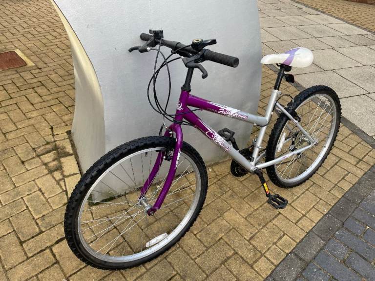 Challenge Bike for height of 165-185cm in very good working order